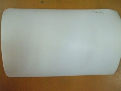 Duios Anastasia Trecea