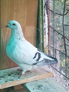 20191004_180732(0)