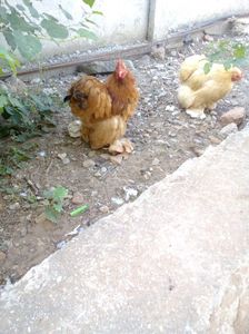 received_536495530446473