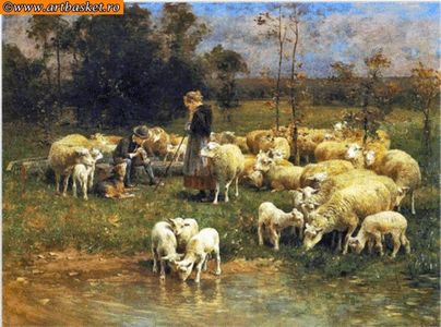 450 x 333 ct-70 anchor