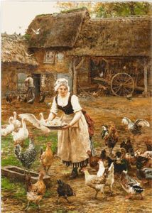 Hranind gainile-28,5x40 cm-67 anchor