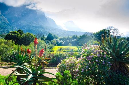 DFrow-The-10-Most-Beautiful-Gardens-in-the-World-Cape-Town
