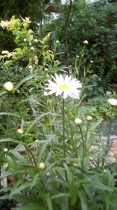 IMG-20190604-WA0007