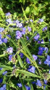 IMG-20190616-WA0004