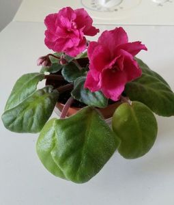 20191010_140554-1