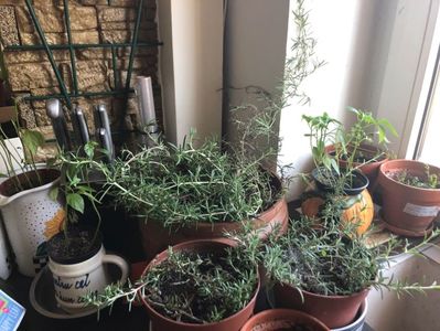 5F40891D-3C70-4C7E-B6DE-3A1E56D03FA1