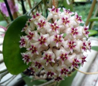 8356B40F-F629-4F14-B58A-2B29D55F609F