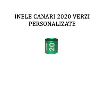 INELE CANARI 2020