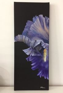 Acrilice pe panza, 20x50 cm