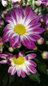 received_484845029034975