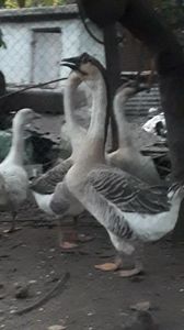 VideoCapture_20191103-225711