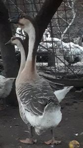 VideoCapture_20191103-225702