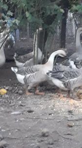 VideoCapture_20191103-225553