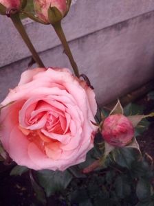 received_668449343682343