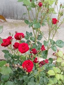 received_404940037107279