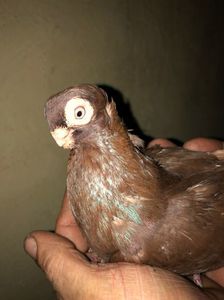 B37CA498-82B9-49D8-B4BA-E38A5EDEF725