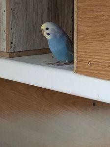 0BEB6CA0-A51A-4E0D-966C-2E19F7AB6F5D