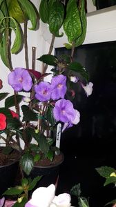 IMG-20190828-WA0078