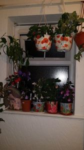 IMG-20190828-WA0086