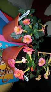 IMG-20190828-WA0164