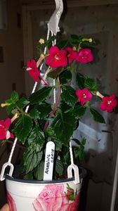 IMG-20190927-WA0040