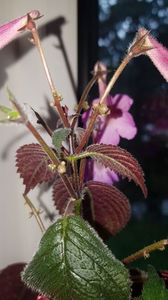 IMG-20191005-WA0029