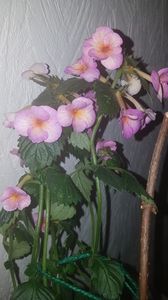 IMG-20190930-WA0003