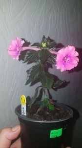 IMG-20190930-WA0005