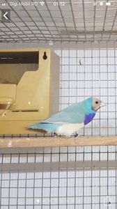 image_1