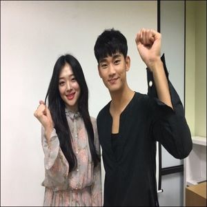 Day 38 - 20.11.2019 (Sulli and Kim Soo Hyun)