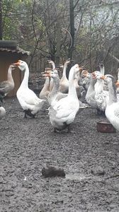 VideoCapture_20191120-235756