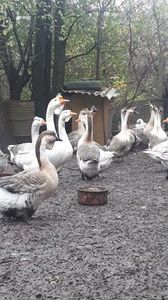 VideoCapture_20191121-000003