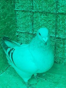 20191017_181235(0)