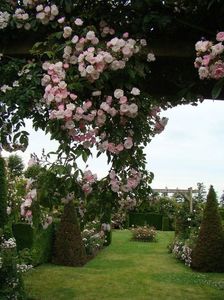 DENTELLE DE MALINES - 5