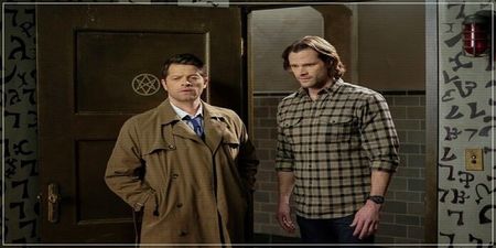 ● season 13, episode 18 ❝bring `em back alive❞
