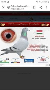 IMG-20191114-WA0033