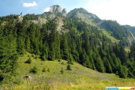 rodnei_cascada_cailor; Borsa este un oras din judetul Maramures, cu o populatie in jur de 30 000 locuitori.

Este situata la extremitatea estica a judetului Maramures, la baza masivului Rodna, in apropierea trecatorii Prisl
