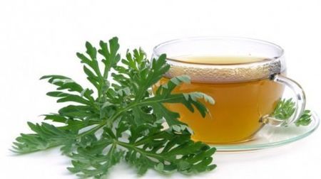 ceai_pelin- Taraf de Haidouks - Pelin bau, pelin maninc - Absinth I Drink You, Absinth I Eat You