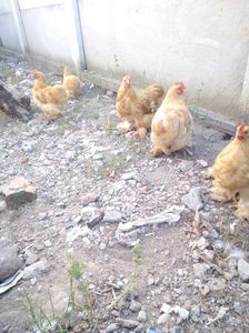 received_823015018154414