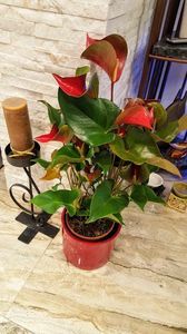 20191202_150335 (1)