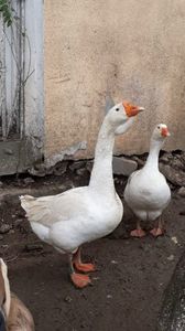 Screenshot_20191202-125231_WhatsApp