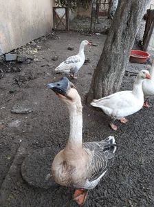 IMG-20191202-WA0045