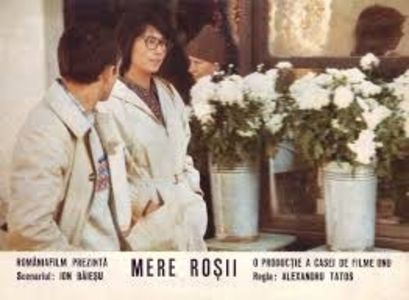 Mere Rosii