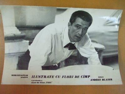 Ilustrate Cu Flori De Camp
