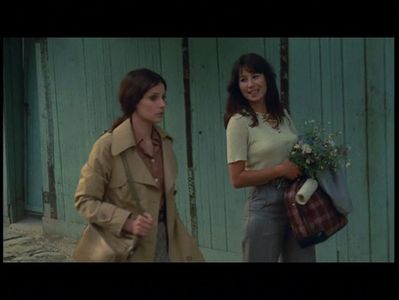 Ilustrate Cu Flori De Camp