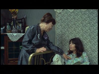 Ilustrate Cu Flori De Camp