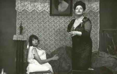 Ilustrate Cu Flori De Camp