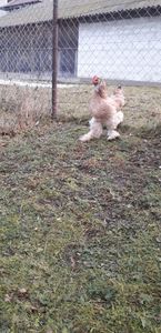 20191214_161517(0)