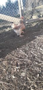 20191215_145410(0)