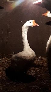 VideoCapture_20191225-002920